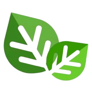novynky
