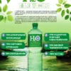 Н2O_DETOX презент 22_аркуш 1